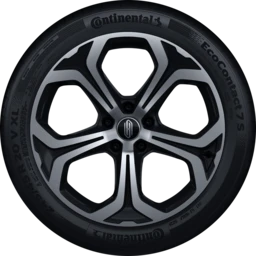 20-inch Twin Five-Spoke Starburst Wheels