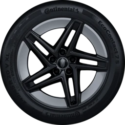 20-inch Windrider Wheels