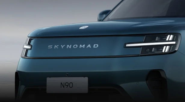 Body-Colour Grille Trim
