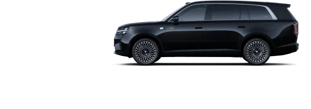 Obsidian Black