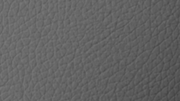 Nappa leather seats