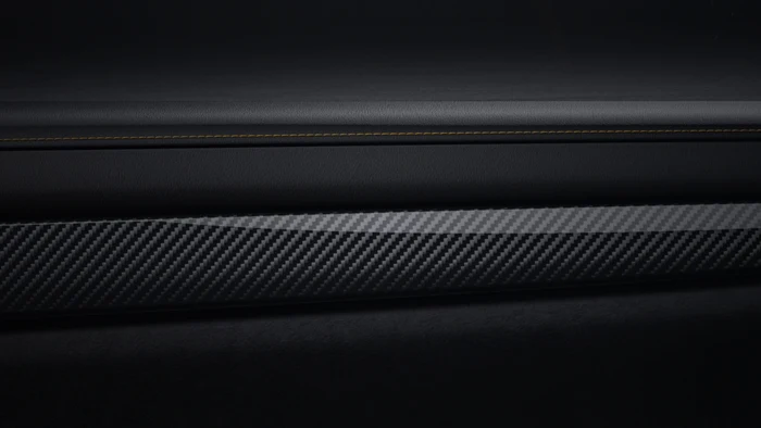Carbon Door Panel Trim