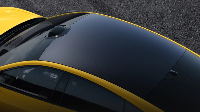 Panoramic Glass Roof